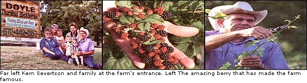 
The amazing berry that has made the farm famous.
